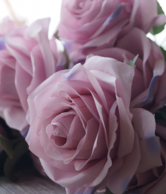 FLORES DECORATIVAS
