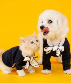 PET SHOP