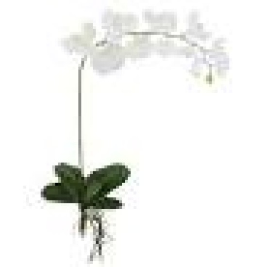 Folha Orquídea Arame Plástico X4 Verde - DEA Folha Orquídea Arame Plástico X4 Verde - DEA