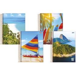 Caderno Universitário 10 Matérias Capa Dura - Brasilidade