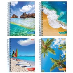 Caderno Universitário 10 Matérias Capa Dura - Brasilidade