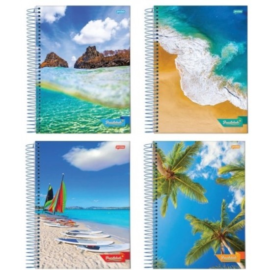 Caderno Universitário 10 Matérias Capa Dura - Brasilidade Caderno Universitário 10 Matérias Capa Dura - Brasilidade