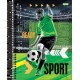 Caderno Universitário 15 Matérias Sport - Jandaia Caderno Universitário 15 Matérias Sport - Jandaia