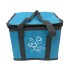 Bolsa Térmica com Alça 10 Litros Azul 