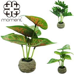 Flor Artificial com Vaso de Cimento Sortidos 16x5cm – VCF