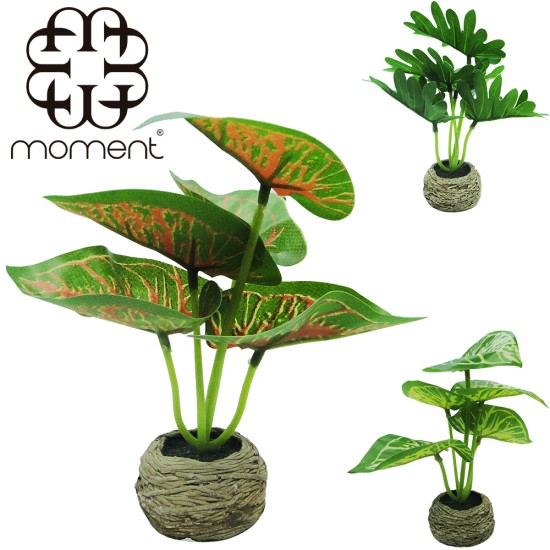 Flor Artificial com Vaso de Cimento Sortidos 16x5cm – VCF