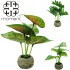 Flor Artificial com Vaso de Cimento Sortidos 16x5cm – VCF
