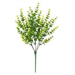 Folhagem Eucalipto X35