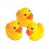 Filhotes Baby Bee Patinhos 3 Peças