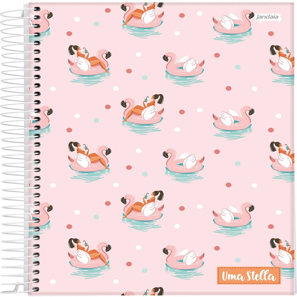Caderno Universitário Capa Dura 15 Matérias Stella - Jandaia