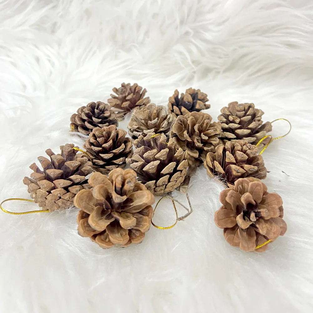 Pinhas Decorativas Naturais - 12 Unidades